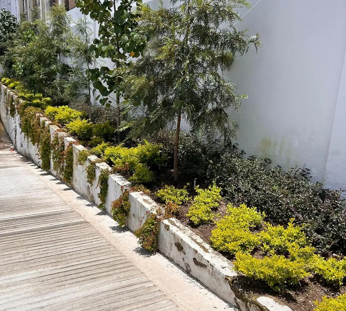 Hotel Concordia غوادالاجارا